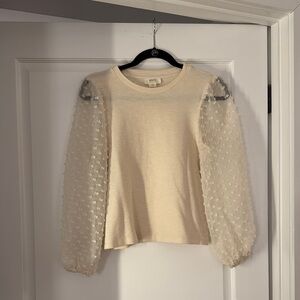 Maeve XSP Elegant Cream Top with Sheer Sleeves